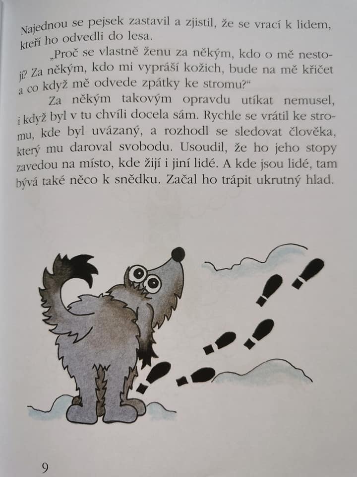 michal 05