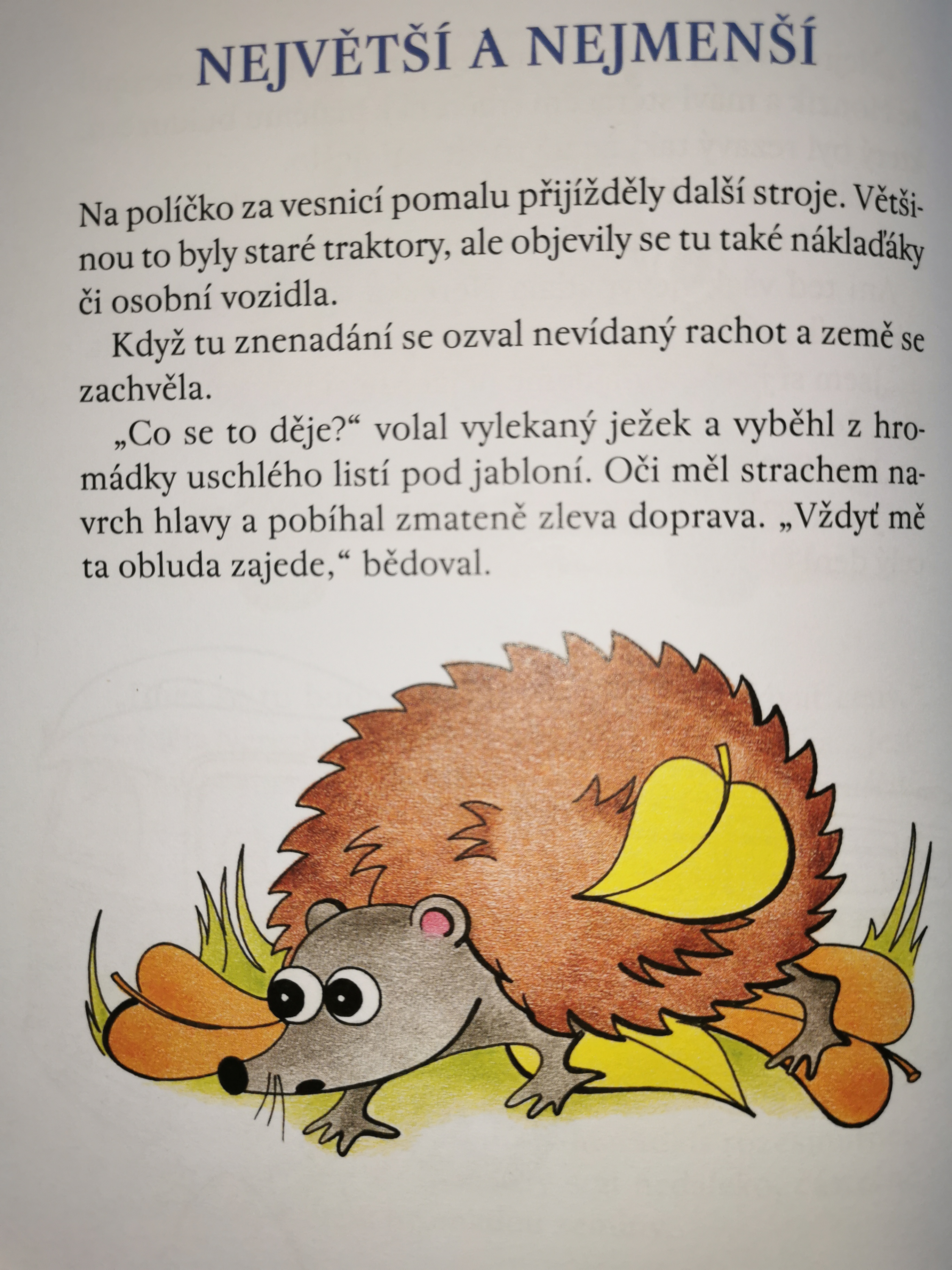 Nerezka 01