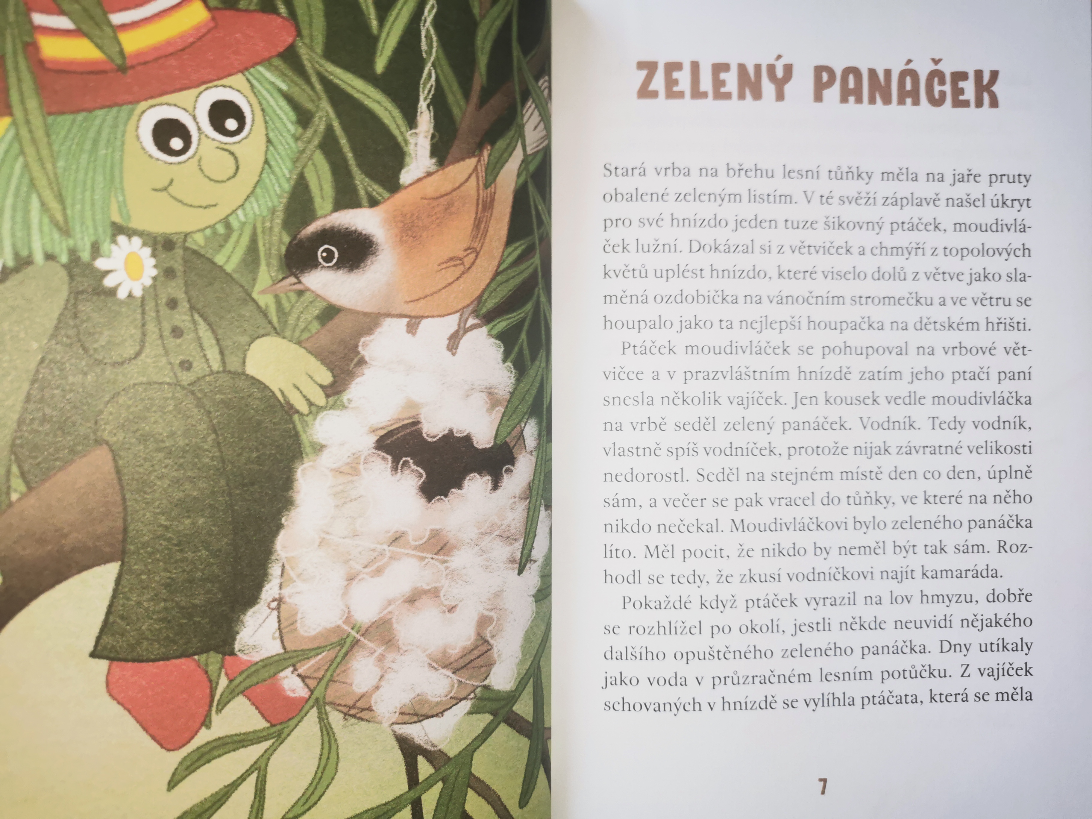 Pohádka Zelený panáček