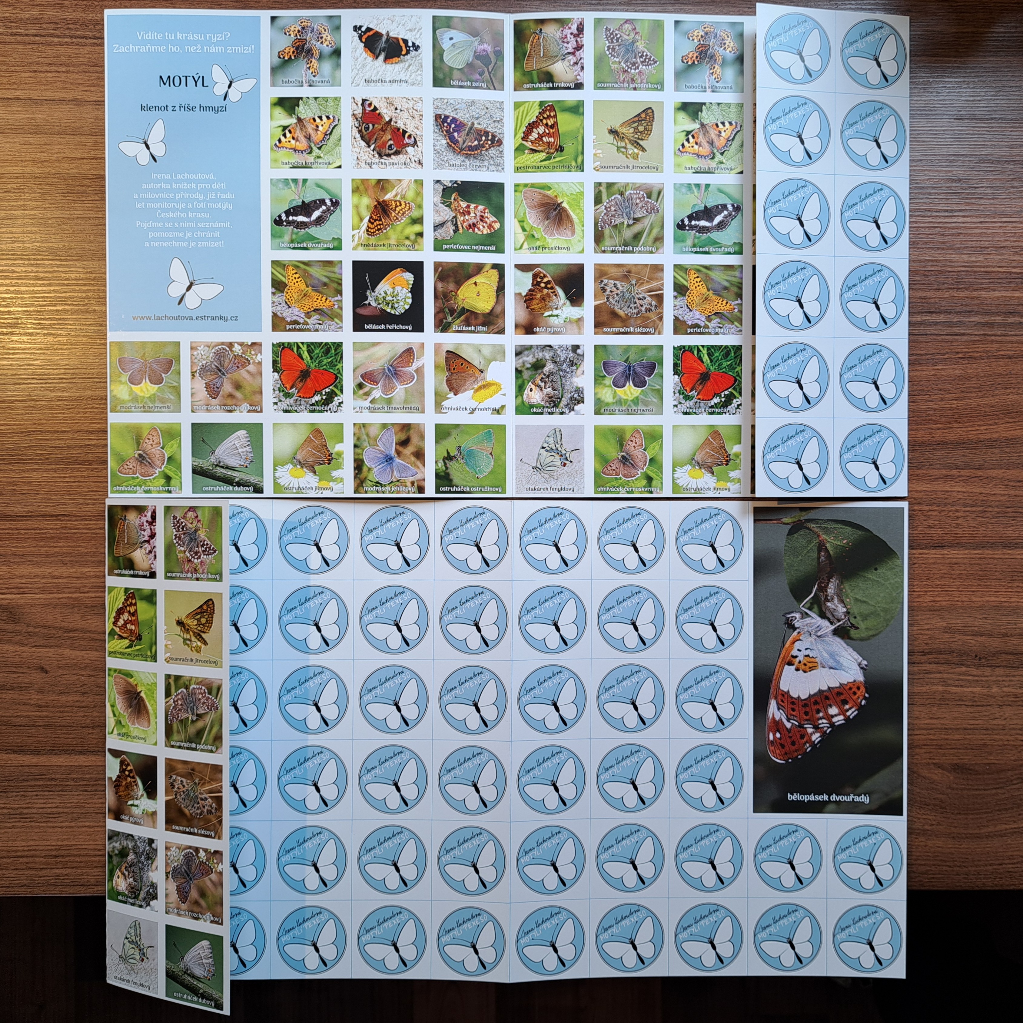 Pexeso s motýly